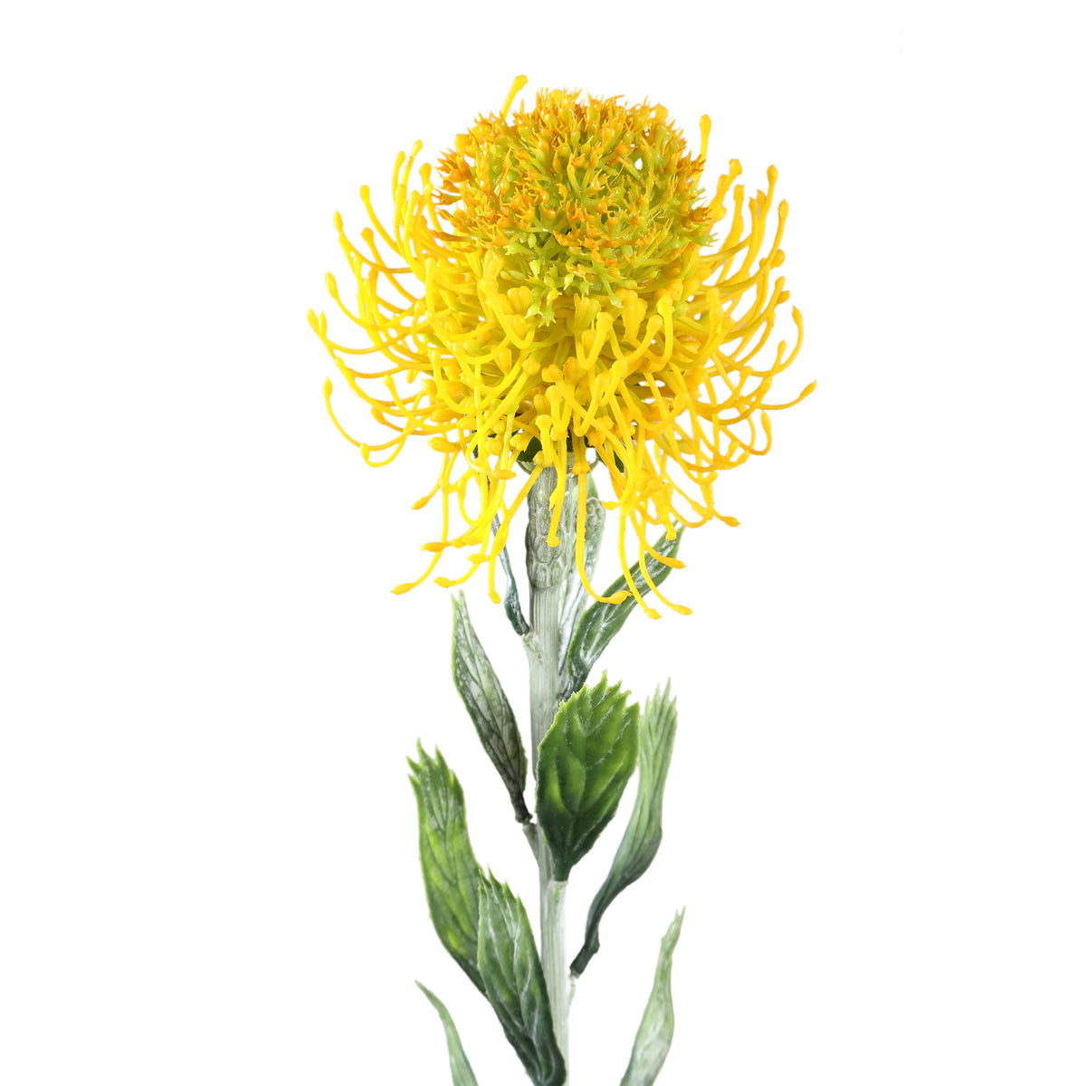 Artificial plant – Yellow protea stem with polyester leaves | PTMD