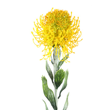 Zweigpflanze – Gelber Protea-Zweig mit Blättern aus Polyester | PTMD
