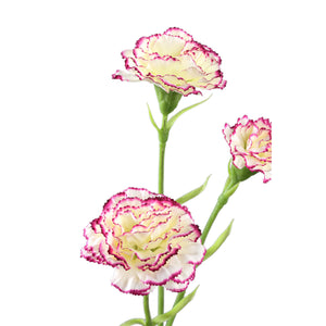 Carnation Flower – White Purple Spray with 3 Flowers, Polyester Fabric, Semi-Finished | PTMD