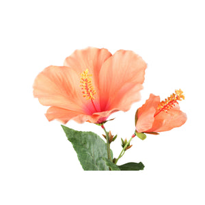 Gartenblume – Hellrosa Hibiskus Spray mit Knospe, Polyestergewebe, Handgefertigt | PTMD