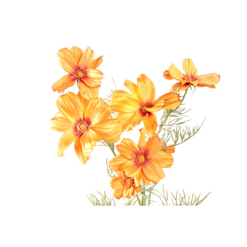 Gartenblume – Oranger Margeritenzweig aus Polyestergewebe | PTMD