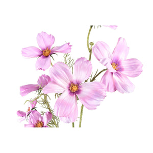 Gartenblume – Hellrosafarbener Kosmeenzweig aus Polyestergewebe | PTMD