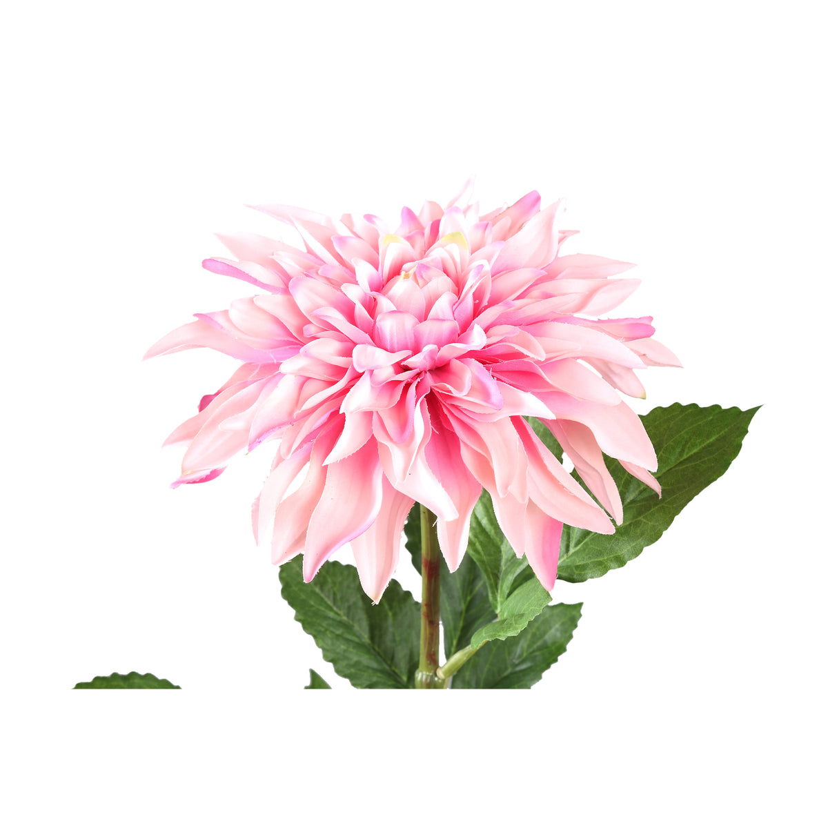 Dahlienblume – Hellrosa Spray mit Blättern, Beschichtete Oberfläche, Polyester Material | PTMD