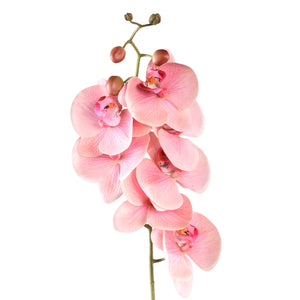Orchideenblume - Hellrosa Phalaenopsis Spray, Polyester, Coating-Beschichtung | PTMD