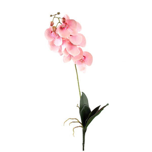 Orchideenblume - Hellrosa Phalaenopsis Spray, Polyester, Coating-Beschichtung | PTMD