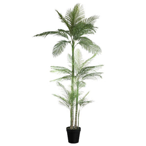 Tree Green - Green Palm, Handmade, PE Plastic, Black Pot | PTMD