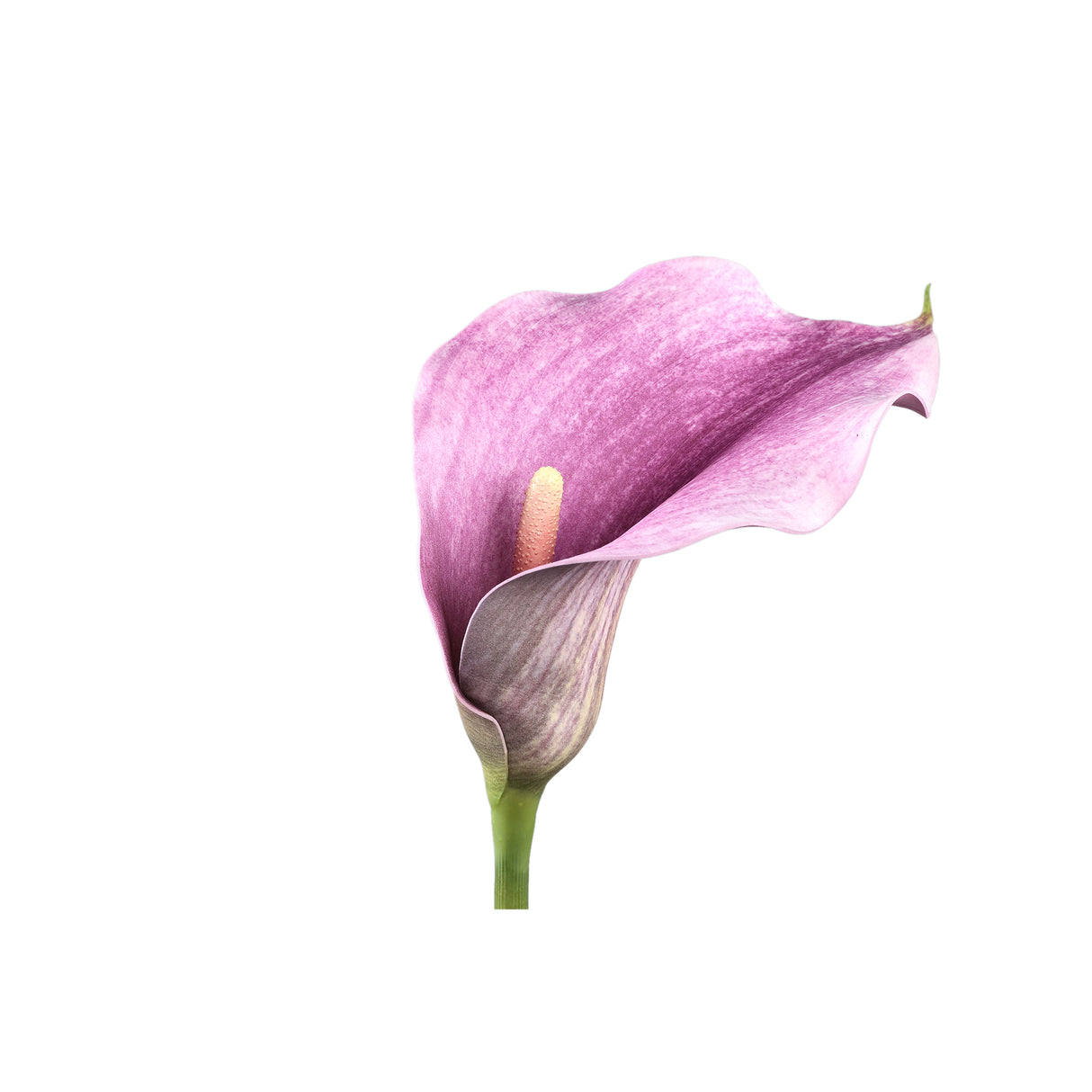 Lily Flower - Purple Calla Lily Spray, Foam, Handmade | PTMD