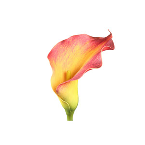 Lily Flower - Orange Yellow Calla Lily Spray, Foam, Handmade | PTMD