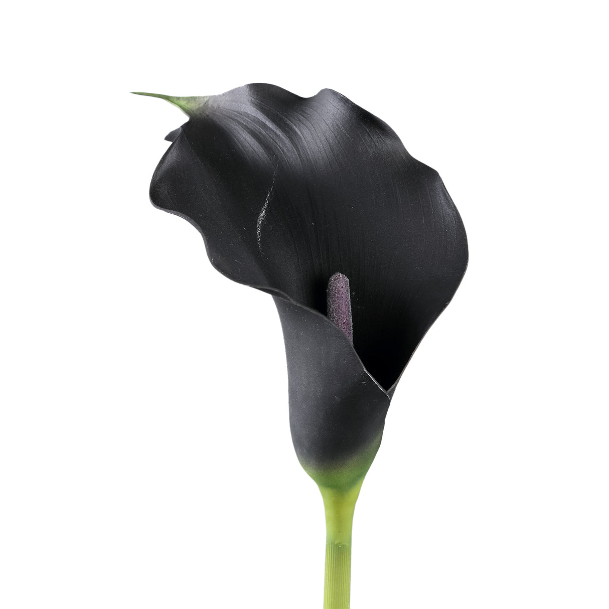 Lilienblume - Schwarze Calla Lilie Spray, Schaumstoff, Handgefertigt | PTMD