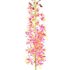 Zweigpflanze – Rosa Eremurus-Zweig aus Polyesterstoff, Eisenmetall und PE-Kunststoff | PTMD