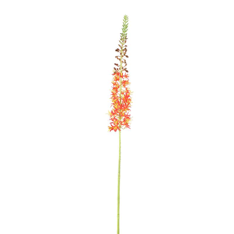 Zweigpflanze – Orange Eremurus-Zweig aus Polyesterstoff, Eisenmetall und PE-Kunststoff | PTMD
