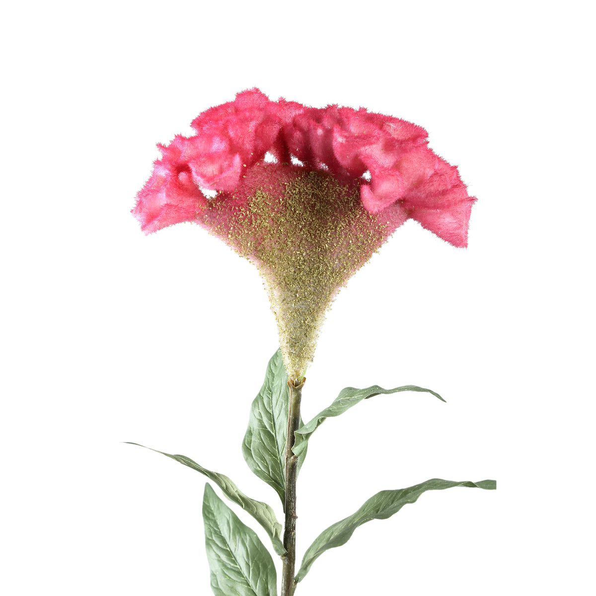Garden flower – Bordeaux-colored velvet celosia branch made of polyester, iron and PE plastic | PTMD