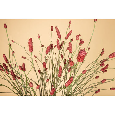 Kunstzweig – Rosa Wiesenknopfzweig aus Polyester | PTMD