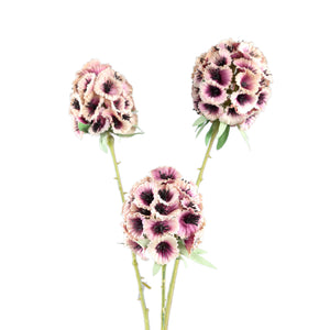 Gartenblume - Rosa Scabiosa Spray, Polyester, Halbhändig gefertigt | PTMD