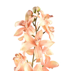 Orchideenblume - Rosa Cymbidium Orchideen Spray, Polyestergewebe, Eisenmetall | PTMD