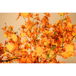 Orchid Flower - Orange Dancing Orchid Spray, Iron Metal, PE Plastic, Handmade | PTMD