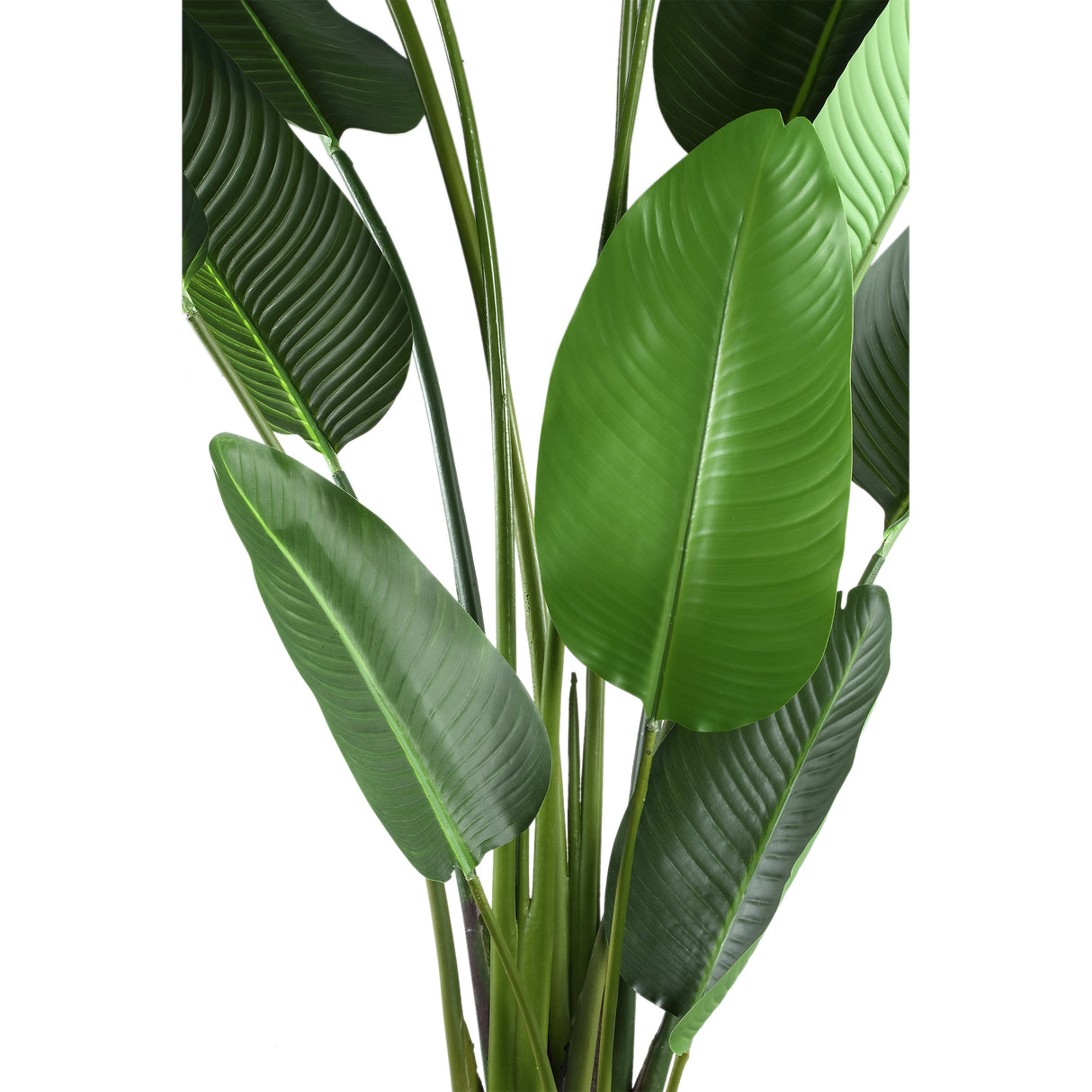 Kunstpflanze - PE Real Touch Strelitzia, Zement, Eisenmetall, PE Kunststoff, Handgefertigt, XL | PTMD