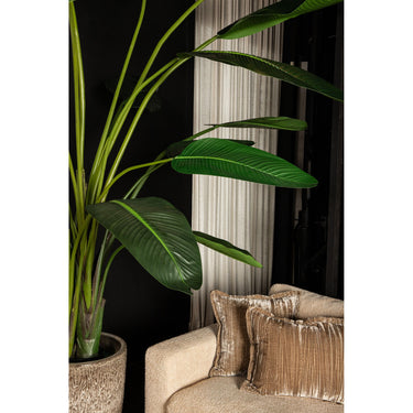 Kunstpflanze - PE Real Touch Strelitzia, Zement, Eisenmetall, PE Kunststoff, Handgefertigt, XL | PTMD