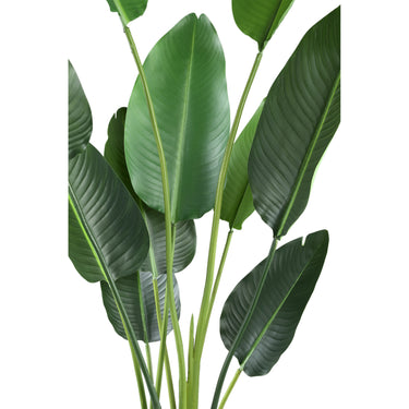 Kunstpflanze - PE Real Touch Strelitzia, Zement, Eisenmetall, PE Kunststoff, Handgefertigt, M | PTMD