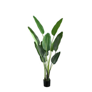 Kunstpflanze - PE Real Touch Strelitzia, Zement, Eisenmetall, PE Kunststoff, Handgefertigt, M | PTMD