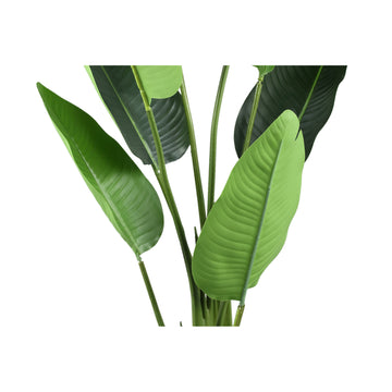 Kunstpflanze – Strelitzien Design, Real Touch, PE Kunststoff, S | PTMD