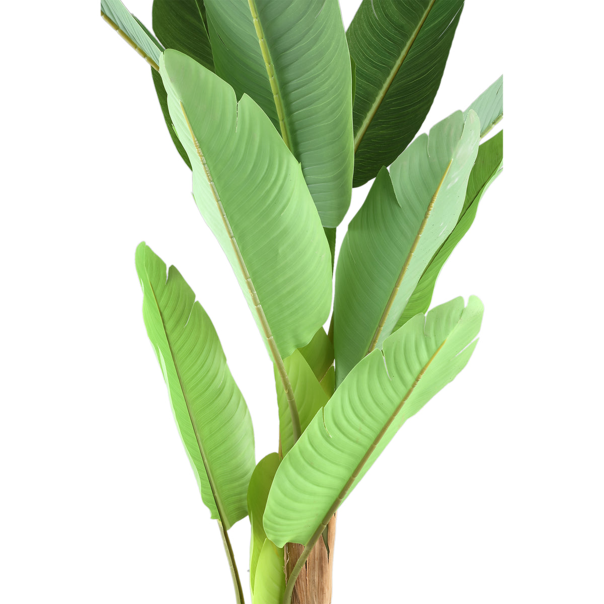 Baumgrün - PE Real Touch Banana Tree, cement base, iron metal frame, S| PTMD