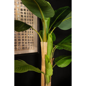 Baumgrün - PE Real Touch Banana Tree, cement base, iron metal frame, S| PTMD