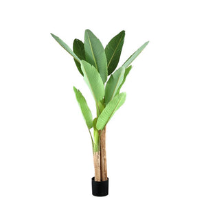 Baumgrün - PE Real Touch Banana Tree, cement base, iron metal frame, S| PTMD