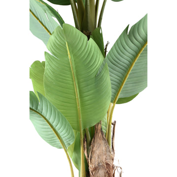 Baumgrün – Bananen Design, Real Touch, PE Kunststoff, M | PTMD