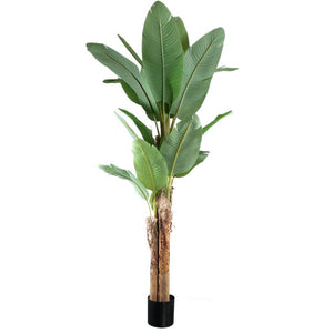 Baumgrün - PE Real Touch Banana Tree, Cement, Iron Metal, PE Plastic, Handmade, L | PTMD