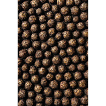Wall Panel – Oval Shape, Raised Studded Structure, Cement Surface, S – Gen | PTMD
