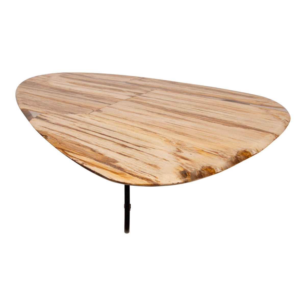 Couchtisch – Versteinertes Holz, Organische Form, Naturbelassene Oberfläche, L – Deeba | PTMD