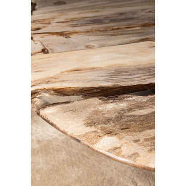 Couchtisch – Versteinertes Holz, Organische Form, Naturbelassene Oberfläche, L – Deeba | PTMD