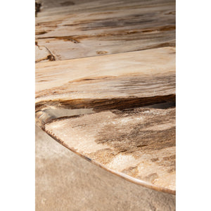 Couchtisch – Versteinertes Holz, Organische Form, Naturbelassene Oberfläche, L – Deeba | PTMD