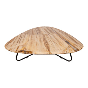 Couchtisch – Versteinertes Holz, Organische Form, Naturbelassene Oberfläche, L – Deeba | PTMD