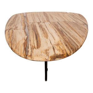 Couchtisch – Versteinertes Holz, Organische Form, Naturbelassene Oberfläche, L – Deeba | PTMD