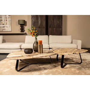Coffee table – Petrified Wood, Organic Shape, Natural Surface, S – Deeba | PTMD