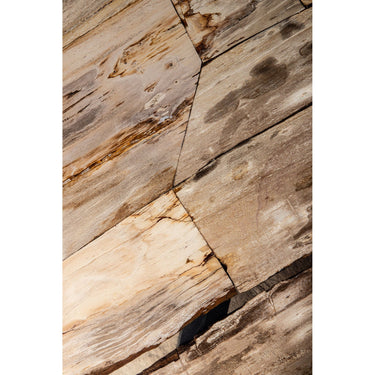 Couchtisch – Versteinertes Holz, Organische Form, Naturbelassene Oberfläche, S – Deeba | PTMD