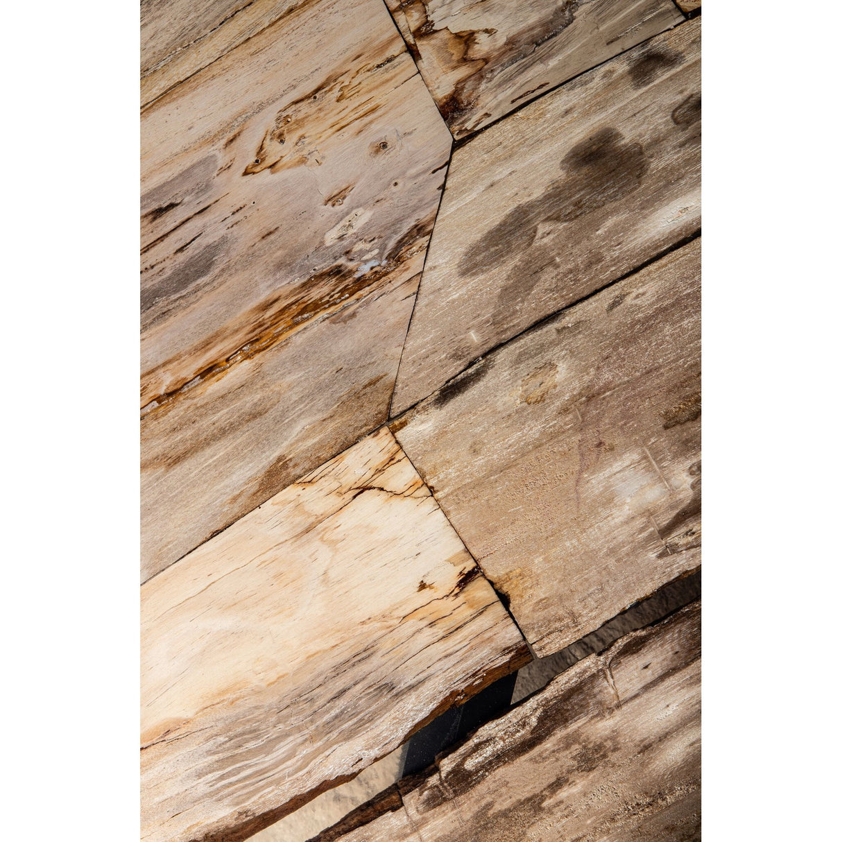 Coffee table – Petrified Wood, Organic Shape, Natural Surface, S – Deeba | PTMD