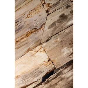 Coffee table – Petrified Wood, Organic Shape, Natural Surface, S – Deeba | PTMD