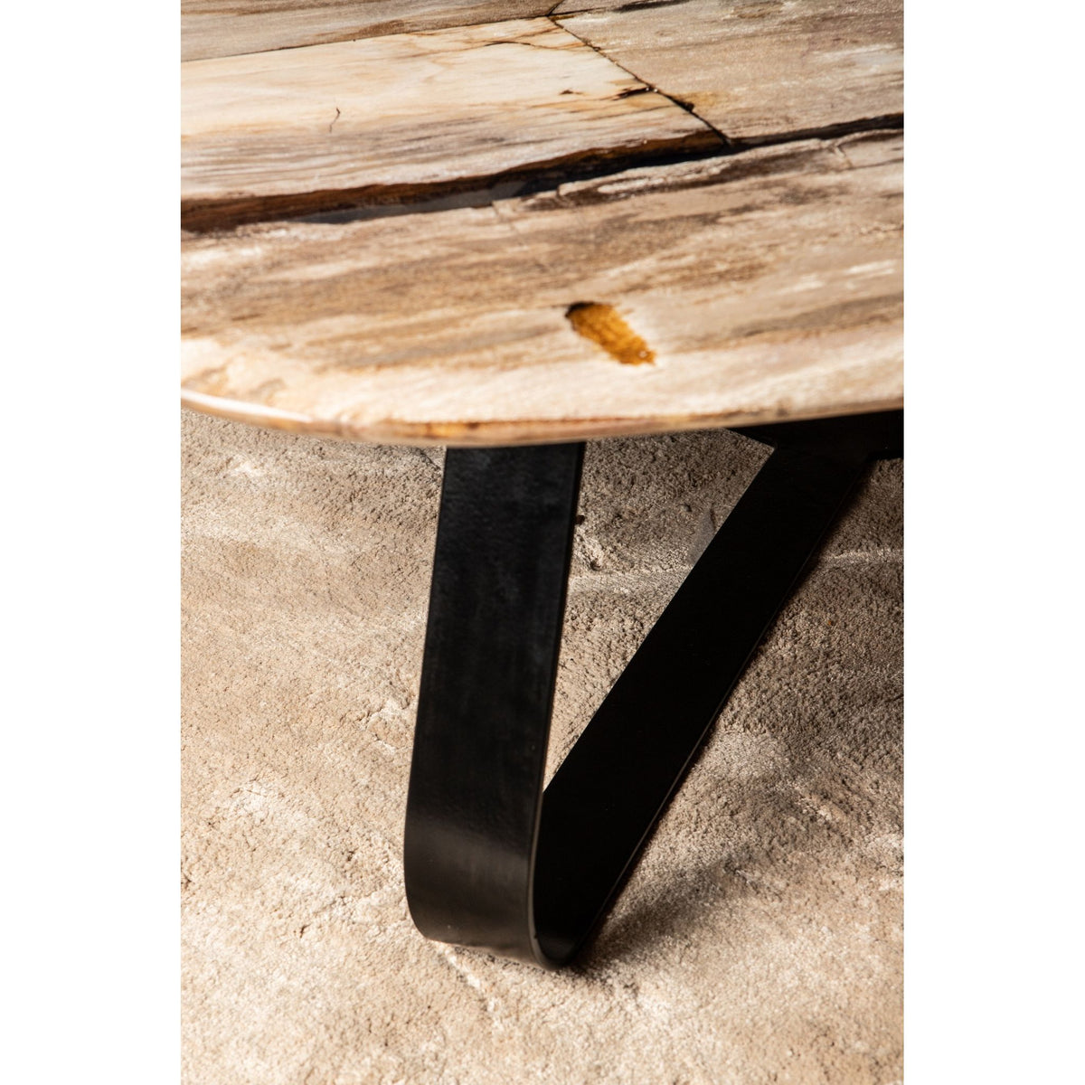 Couchtisch – Versteinertes Holz, Organische Form, Naturbelassene Oberfläche, L – Deeba | PTMD