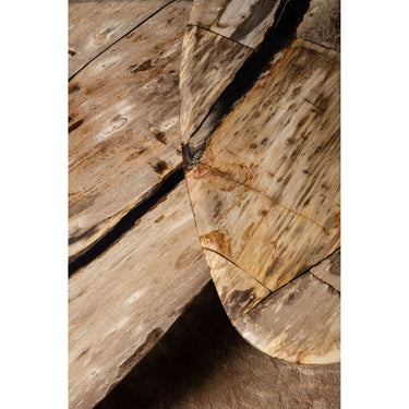 Couchtisch – Versteinertes Holz, Organische Form, Naturbelassene Oberfläche, L – Deeba | PTMD