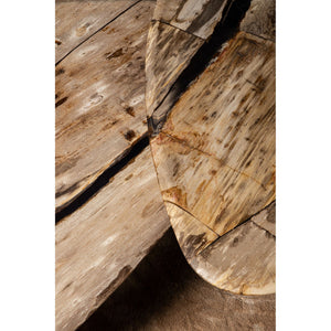 Coffee table – Petrified Wood, Organic Shape, Natural Surface, S – Deeba | PTMD