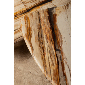 Coffee table – Petrified Wood, Organic Shape, Natural Surface, S – Deeba | PTMD