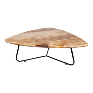 Coffee table – Petrified Wood, Organic Shape, Natural Surface, S – Deeba | PTMD