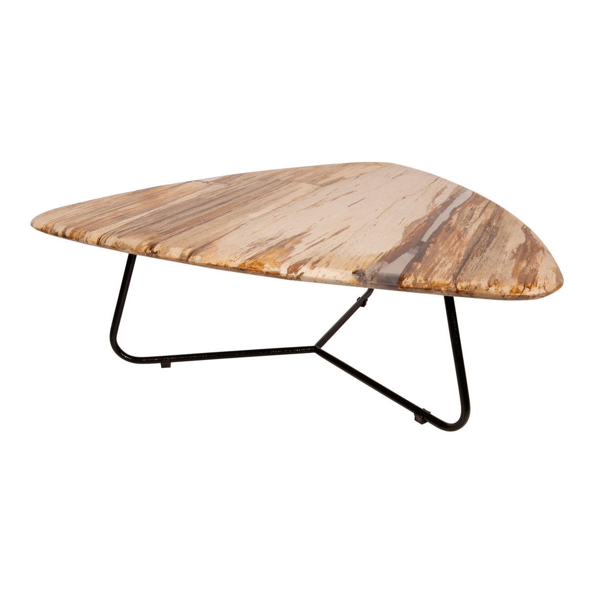Coffee table – Petrified Wood, Organic Shape, Natural Surface, S – Deeba | PTMD