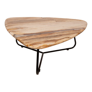 Coffee table – Petrified Wood, Organic Shape, Natural Surface, S – Deeba | PTMD