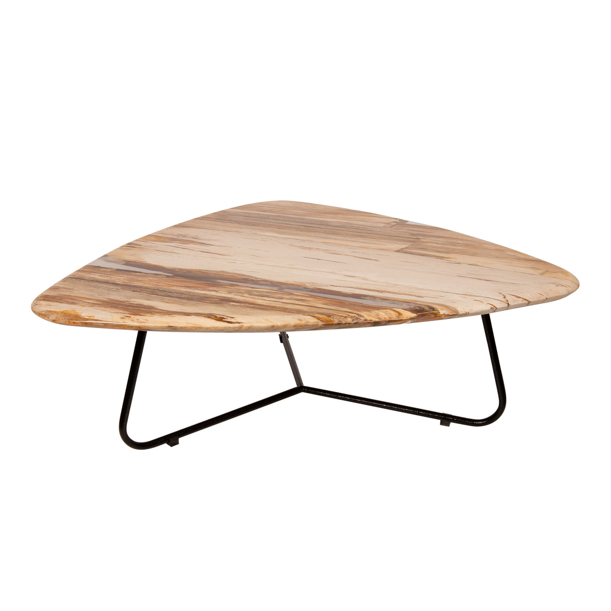 Coffee table – Petrified Wood, Organic Shape, Natural Surface, S – Deeba | PTMD