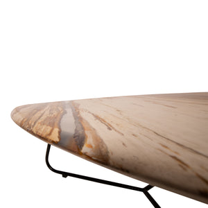 Coffee table – Petrified Wood, Organic Shape, Natural Surface, S – Deeba | PTMD