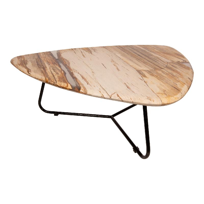 Coffee table – Petrified Wood, Organic Shape, Natural Surface, S – Deeba | PTMD